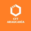 Profesor Ejemplo CFT Araucanía